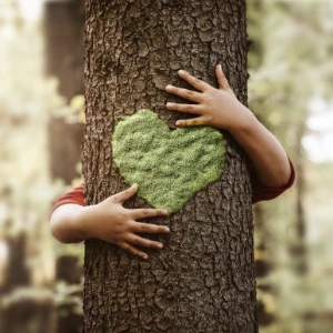 Playmaker Co., Ltd. 執著於本業