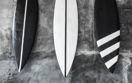 國際體育用品展覽會即將於2022年展開，邀您一同共襄盛舉